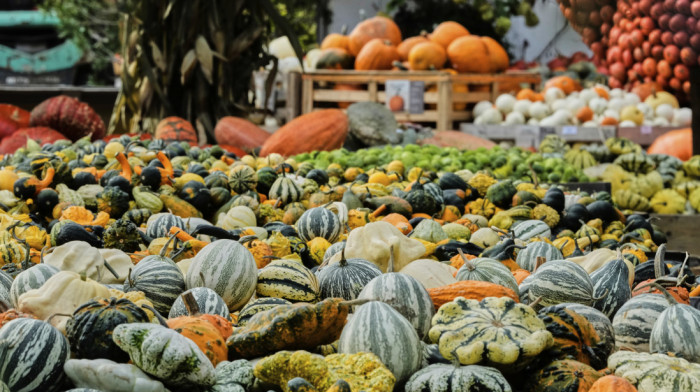 Na festivalu u Belgiji prikazana bundeva teška 772 kilograma