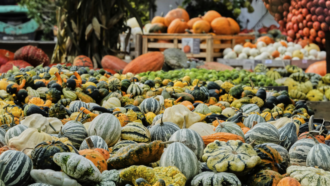 Na festivalu u Belgiji prikazana bundeva teška 772 kilograma