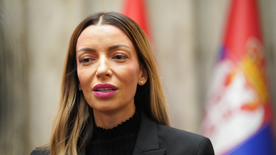 Mesarović: Uskoro "Dani Srbije" u Šangaju