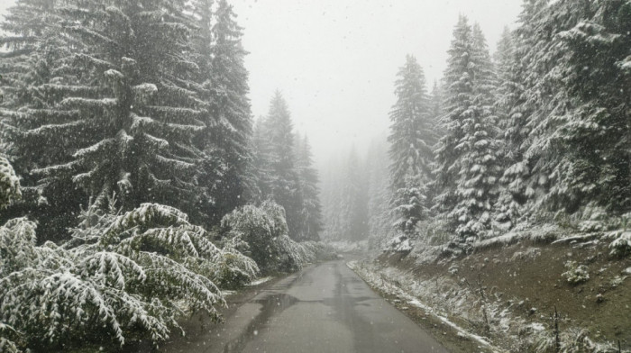 Zimski talas u Srbiji: Sneg pada u više gradova, RHMZ izdao narandžasto upozorenje
