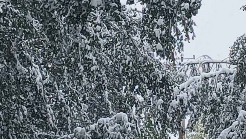 Proglašena vanredna situacija na delu opštine Arilje, preko 1.500 građana bez struje