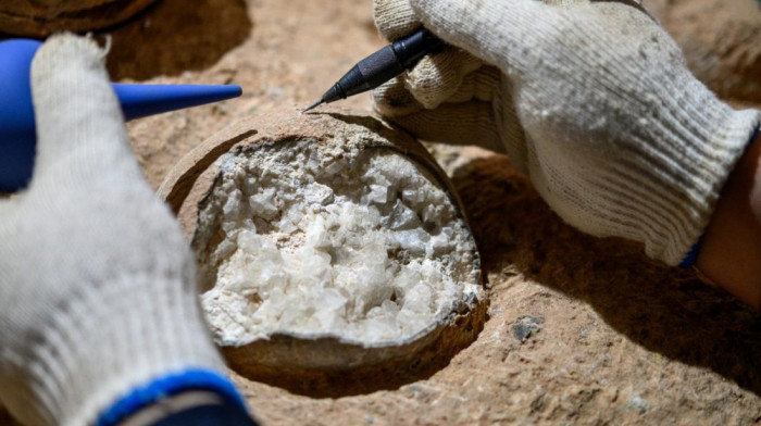 Fosil iz Kine menja sve: Nova metoda otkriva starost jaja dinosaurusa s neverovatnom preciznošću