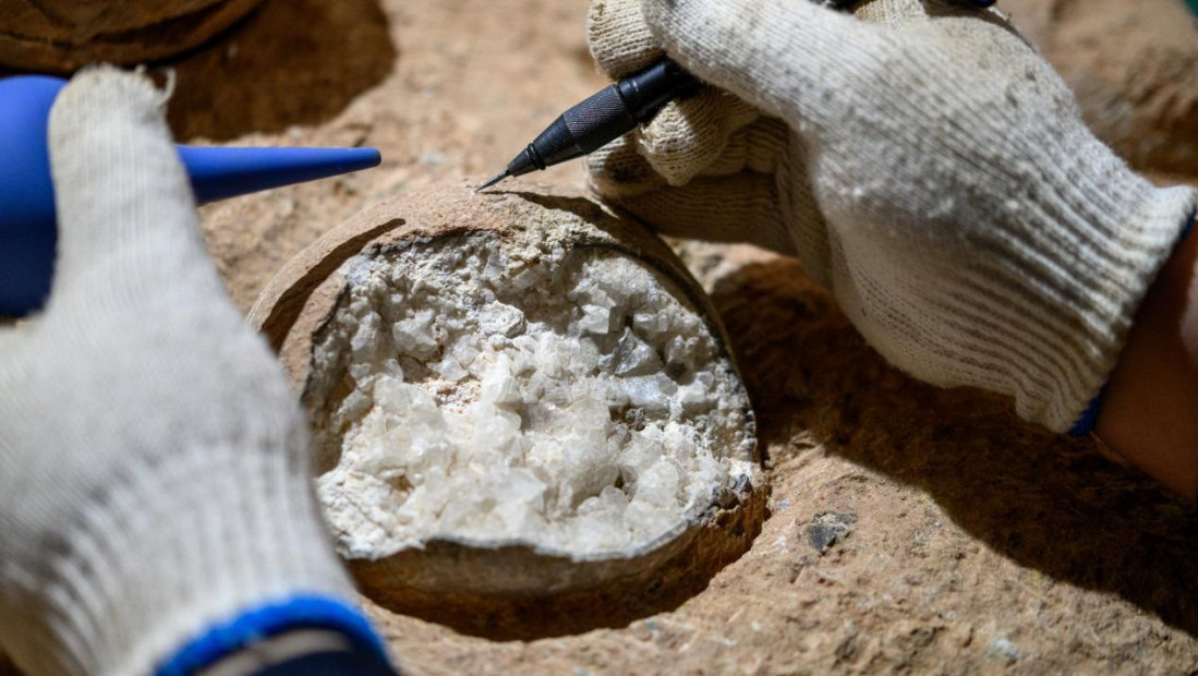 Fosil iz Kine menja sve: Nova metoda otkriva starost jaja dinosaurusa s neverovatnom preciznošću