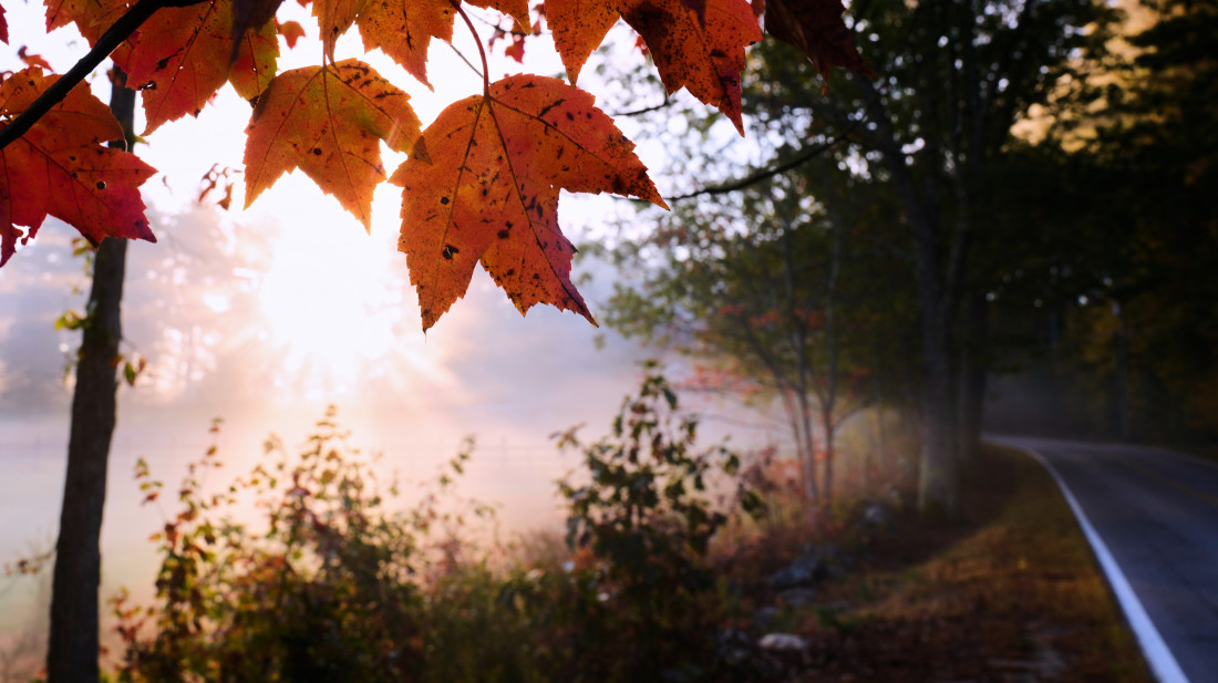 Nakon zahlađenja stiže postepeno razvedravanje: Kakvo nas vreme čeka do kraja nedelje?