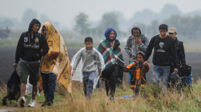 "Talas bez presedana": Deset godina od kulminacije migrantske krize, dnevno i do 10.000 ljudi ulazilo u Srbiju
