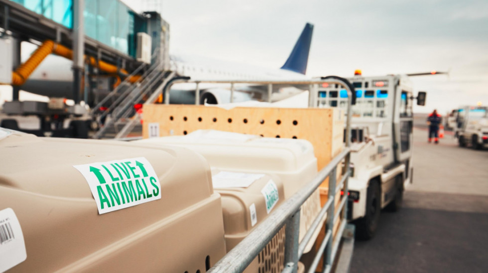 Srbija ispunila evropske standarde: Potvrda iz EK o usklađenosti u oblasti nekomercijalnog letenja kućnih ljubimaca