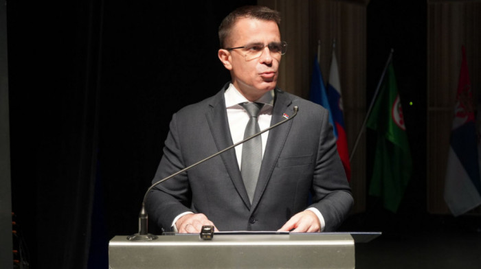 Ministar Milićević na manifestaciji u Sloveniji poručio da kultura povezuje Srbiju sa dijasporom