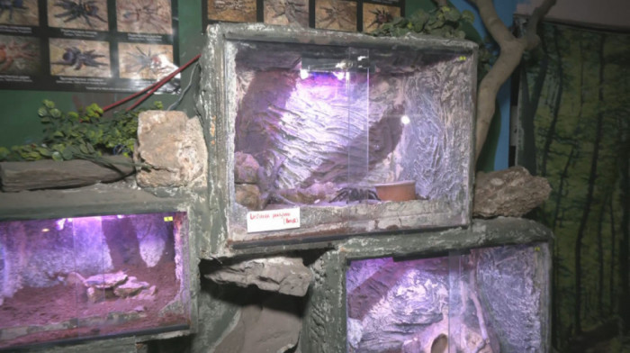 Dečiji festival u javnom akvarijumu i tropikarijumu: Zabavan dan za celu porodicu (VIDEO)