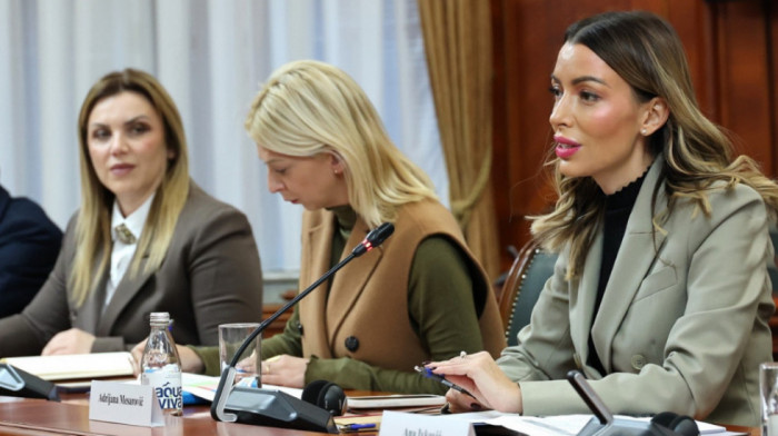 Mesarović sa delegacijom MMF: Zajednički cilj finansijska i privredna stabilnost