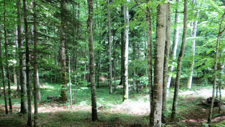 Zašto Srbija nema nijedan lokalitet na Unesko listi svetske prirodne baštine?