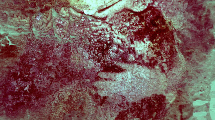 Otkriće koje menja istoriju ljudske kulture: Pronađeni najstariji dokazi neandertalske umetnosti