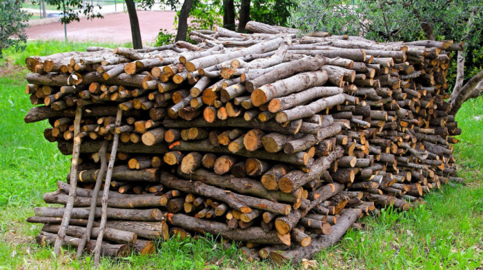 Srbijašume: Kubik drva 50 odsto jeftiniji, za najugroženije cena 2.900 dinara