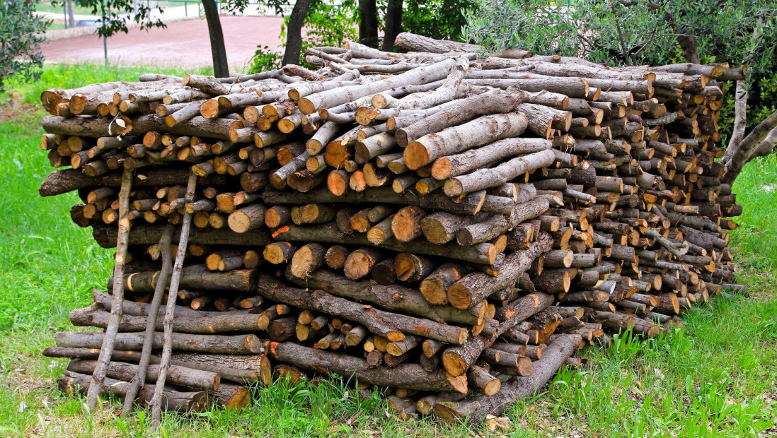 Srbijašume: Kubik drva 50 odsto jeftiniji, za najugroženije cena 2.900 dinara