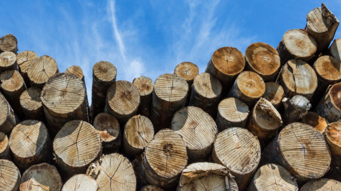 Na mnogim stovarištima liste čekanja: Eksplodirala i tražnja i cene peleta, proizvođači suočeni sa ozbiljnom krizom