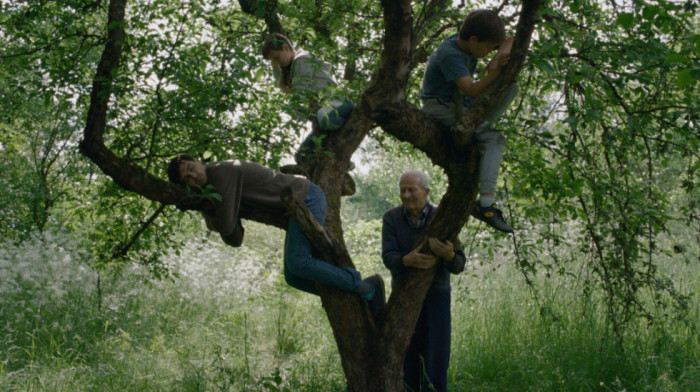 Srpska premijera filma "Vetre, pričaj sa mnom" na Festivalu autorskog filma