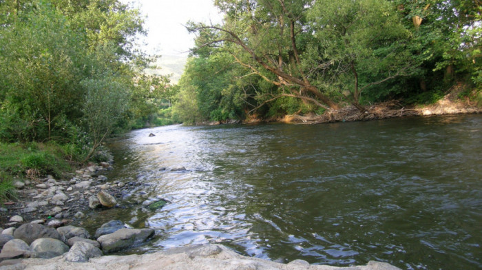 Studenica krije velika bogatstva: Domaći naučnici otkrili u reci novu strogo zaštićenu vrstu ribe