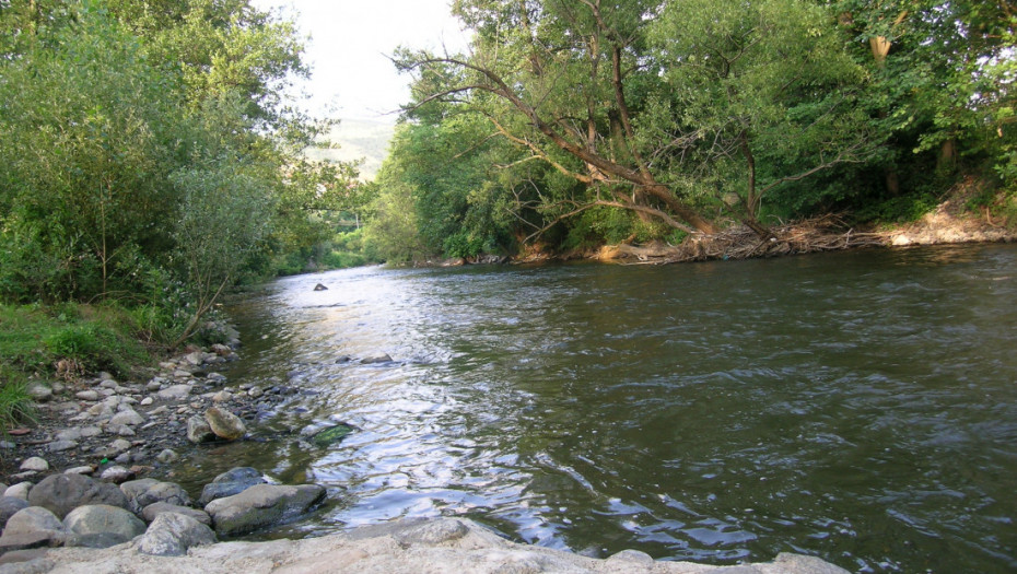 Studenica krije velika bogatstva: Domaći naučnici otkrili u reci novu strogo zaštićenu vrstu ribe