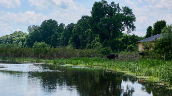 Inovacije koje dišu s prirodom: Povratak života u najlepša vlažna staništa Srbije