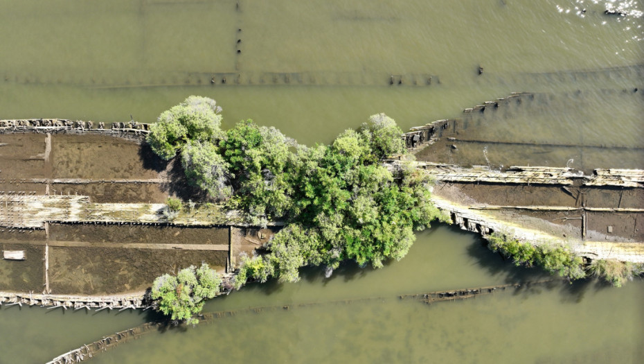 Život uvek nađe put: Morski organizmi pronašli stanište u ostacima bombi iz Drugog svetskog rata