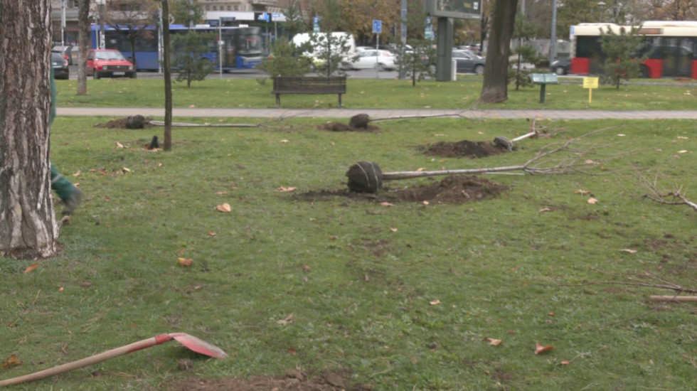 Obeleženo 15 godina udruženja "Budimo zajedno": Zasađeno 15 japanskih trešanja ispred Instituta