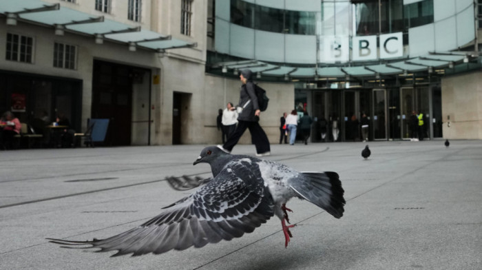Ruska kompanija razvila sistem za daljinsko upravljanje čitavim jatima ptica: Golubovi špijuni kao "biodronovi"