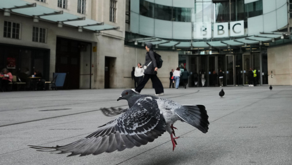 Ruska kompanija razvila sistem za daljinsko upravljanje čitavim jatima ptica: Golubovi špijuni kao "biodronovi"