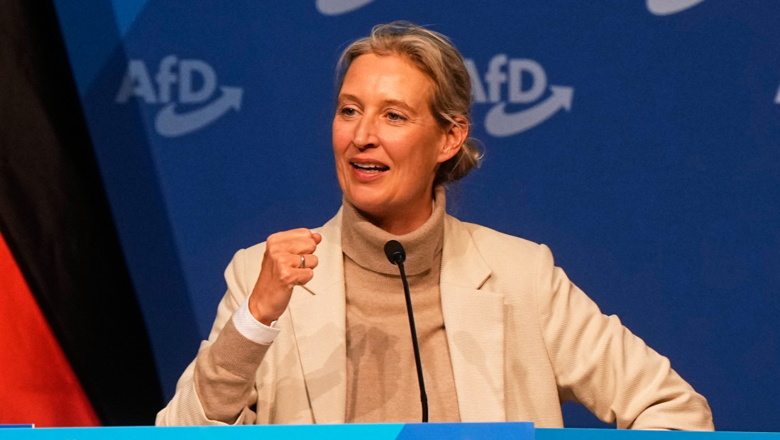 Vajdel o protestima protiv AfD-a: To je duboko nedemokratski