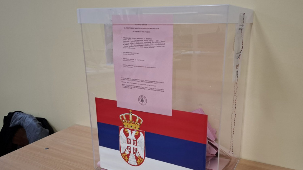 Lokalni izbori u Negotinu, Sečnju i Mionici: Vukadinović o pobedi SNS-a i rezultatima opozicije