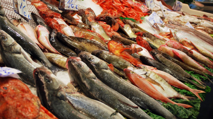 Euraktiv: I pored ograničenja EU i dalje kupuje rusku ribu, vrednu milione evra