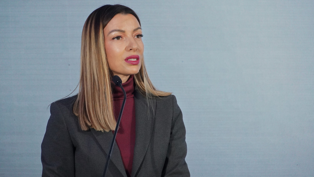 Mesarović: Srbija ima stabilne javne finansije, rekordan priliv investicija i investi