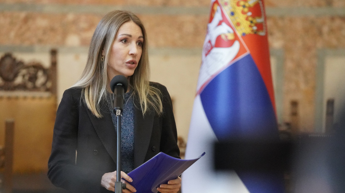 Đedović: Srbija ima viziju dekarbonizacije, ali još ćemo koristiti termoelektrane