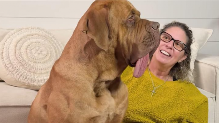 Ozi iz Oklahome upisan u Ginisovu knjigu rekorda kao pas sa najdužim jezikom