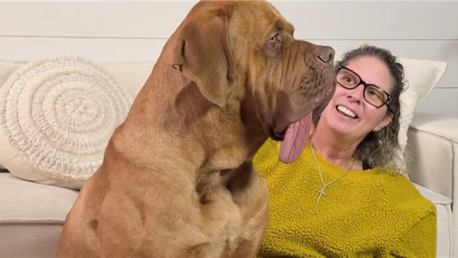 Ozi iz Oklahome upisan u Ginisovu knjigu rekorda kao pas sa najdužim jezikom