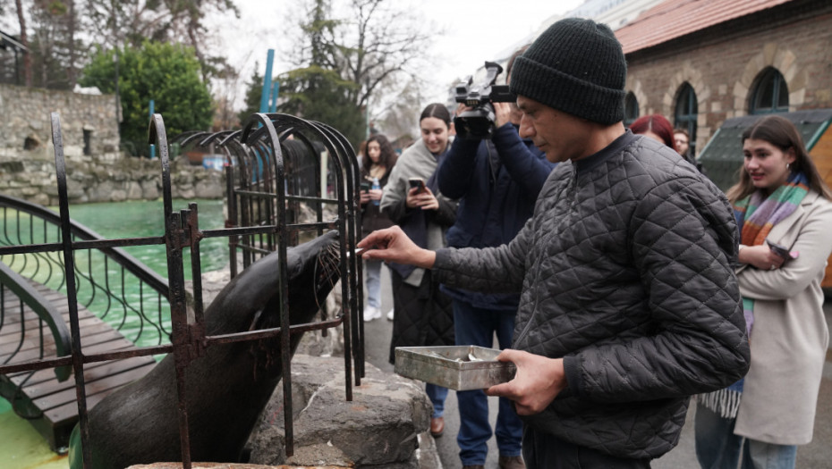 Beo zoo vrt dobija pojačanje: Do kraja godine stižu tri bela medveda, a sledeće godine slonica