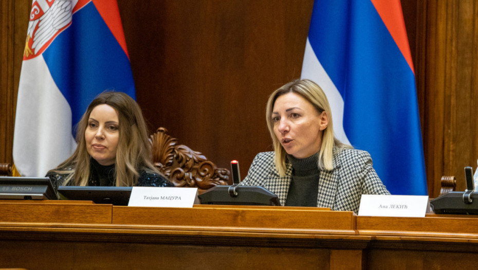 Macura: Smanjen broj ubijenih u porodičnom nasilju za više od 40 odsto