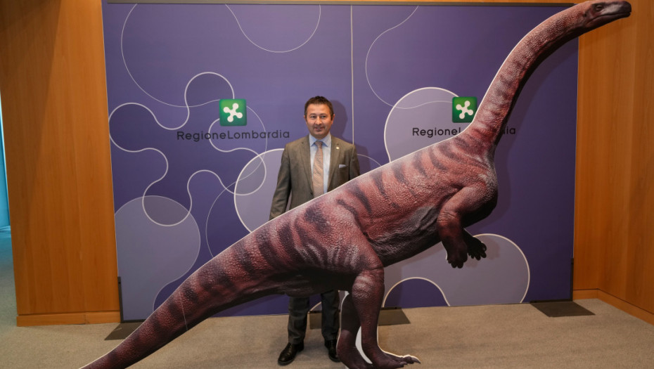 U Italiji otkrivena "dolina dinosaurusa": Na hiljade tragova ogromnih reptila iz prošlosti u nacionalnom parku Stelvio