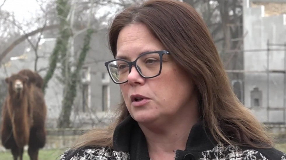 Direktorka Zoo vrta "Palić": Kod nas sve životinje imaju kvalitetnu hranu i negu