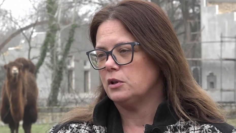 Direktorka Zoo vrta "Palić": Kod nas sve životinje imaju kvalitetnu hranu i negu