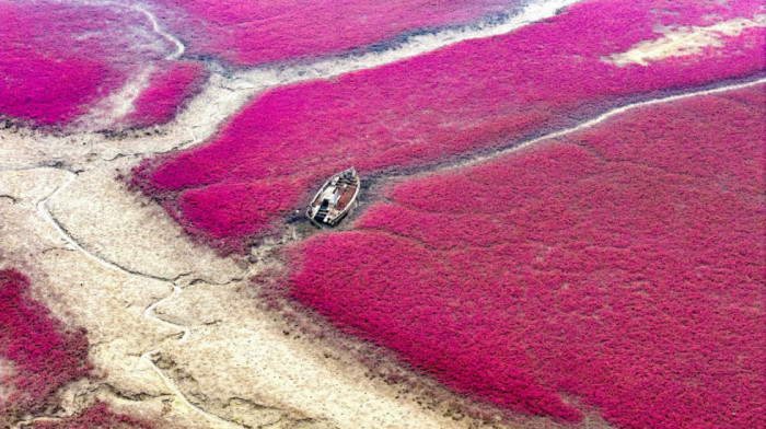 Top 7 destinacija za 2026: Gde priroda, kultura i turizam idu ruku pod ruku