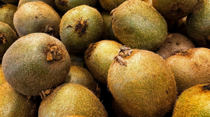 Ministarstvo poljoprivrede, šumarstva i vodoprivre: Netačni navodi o zabrani uvoza kivija iz Srbije u Severnu Makedoniju