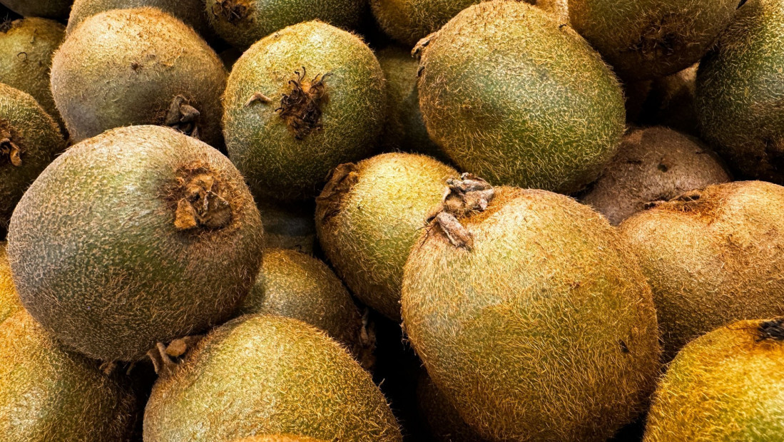 Ministarstvo poljoprivrede, šumarstva i vodoprivre: Netačni navodi o zabrani uvoza kivija iz Srbije u Severnu Makedoniju