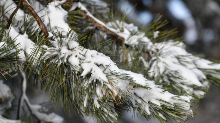 Sneg i ledena kiša danas u Srbiji uz pad temperature - kakvo nas vreme očekuje narednih dana?
