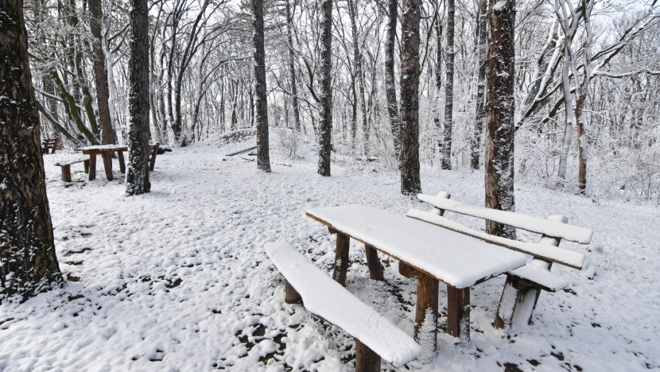 Upozorenje RHMZ: Večeras sneg u Srbiji, moguće formiranje snežnog pokrivača i u Beogradu