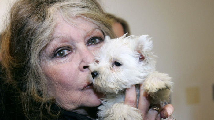 Fondacija "Brižit Bardo" nastavlja borbu za zaštitu životinja i nakon smrti glumice