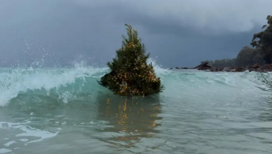 Za ovaj snimak su svi mislili da je AI, ali nije: Priča iza jelke koja je postala viralna (VIDEO)
