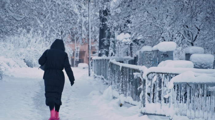 Elektrodistribucija Srbije: Većina teritorije Loznice snabdevena električnom energijom