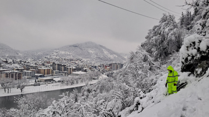 Sneg napravio probleme u snabdevanju strujom, sve ekipe Elektrodistribucije Srbije na terenu