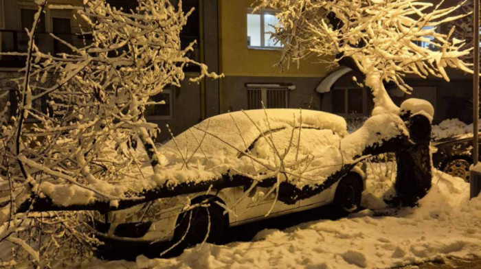 Kako naplatiti štetu ako stablo padne na vozilo: Jedna stvar odlučuje ko je odgovoran
