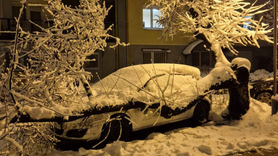 Kako naplatiti štetu ako stablo padne na vozilo: Jedna stvar odlučuje ko je odgovoran