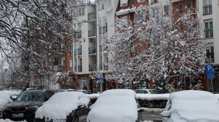 JKP "Put" Novi Sad na terenu sa 38 vozila, ulice prohodne za saobraćaj